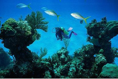 《全面战争传奇：特洛伊》DLC“Mythos”宣传片 巨大神话生物登场